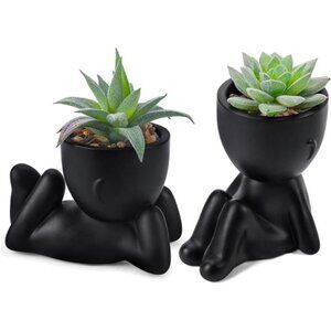Rose Set of 2 Fake Plants Artificial Succulent Plants Office Desk Accessories